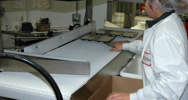 Dairy and Cheese Food Conveyor